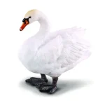 تخم نطفه دار قو گنگ