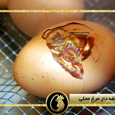 خرید تخم نطفه دار مرغ محلی