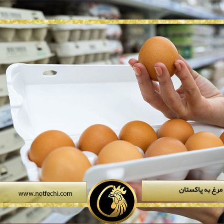صادرات تخم مرغ به پاکستان