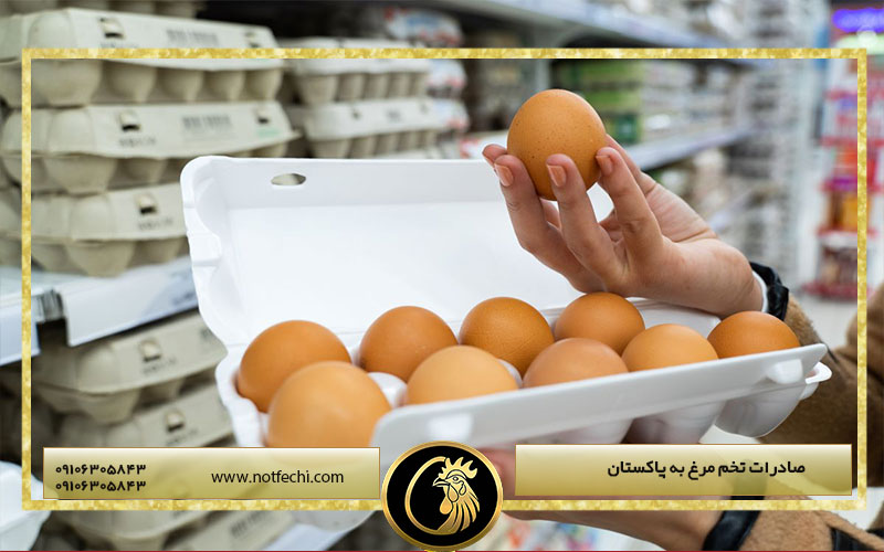 صادرات تخم مرغ به پاکستان