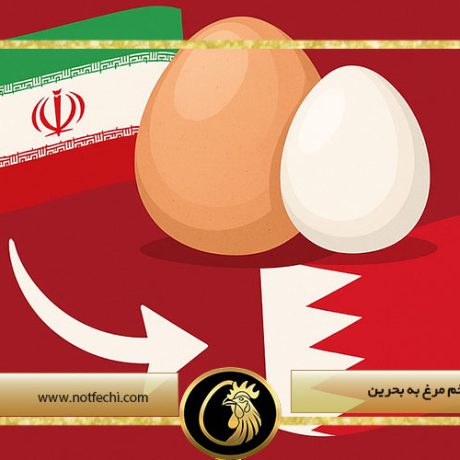 صادرات تخم مرغ به بحرین