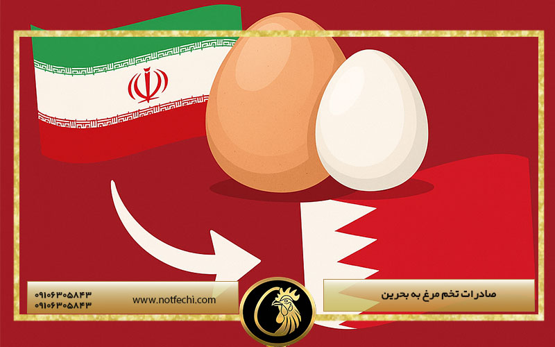 صادرات تخم مرغ به بحرین