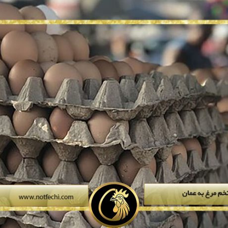 صادرات تخم مرغ به عمان