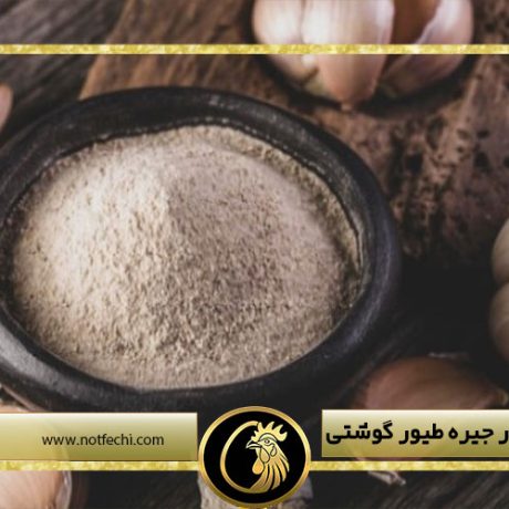 فواید سیر در جیره طیور گوشتی