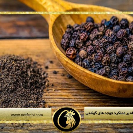 تاثیر پودر فلفل سیاه بر عملکرد جوجه های گوشتی
