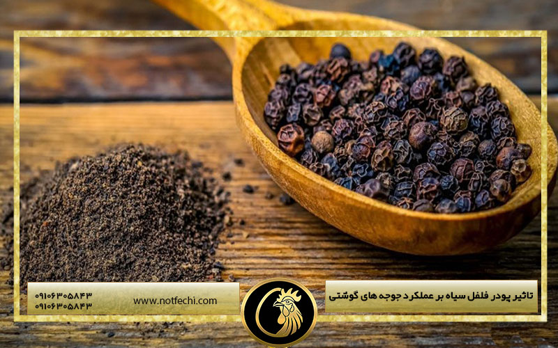 تاثیر پودر فلفل سیاه بر عملکرد جوجه های گوشتی