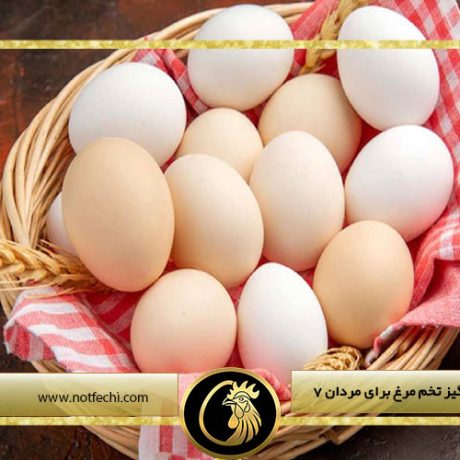 7 خاصیت شگفت انگیز تخم مرغ برای مردان