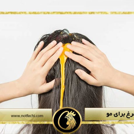 خواص تخم مرغ برای مو