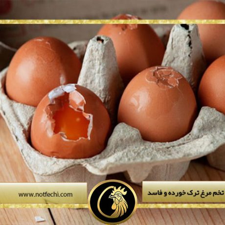 مضرات استفاده از تخم مرغ ترک خورده و فاسد