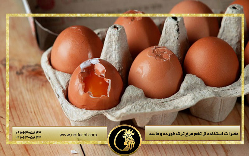 مضرات استفاده از تخم مرغ ترک خورده و فاسد